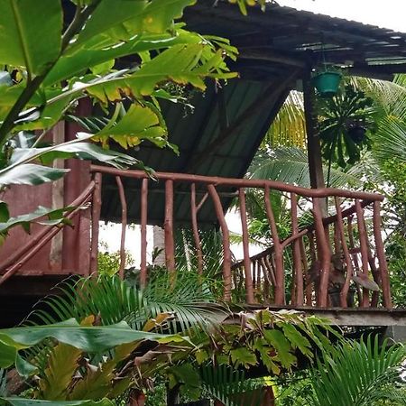 فيلا Sigiri Panaromic Tree House سيغيرِيا المظهر الخارجي الصورة