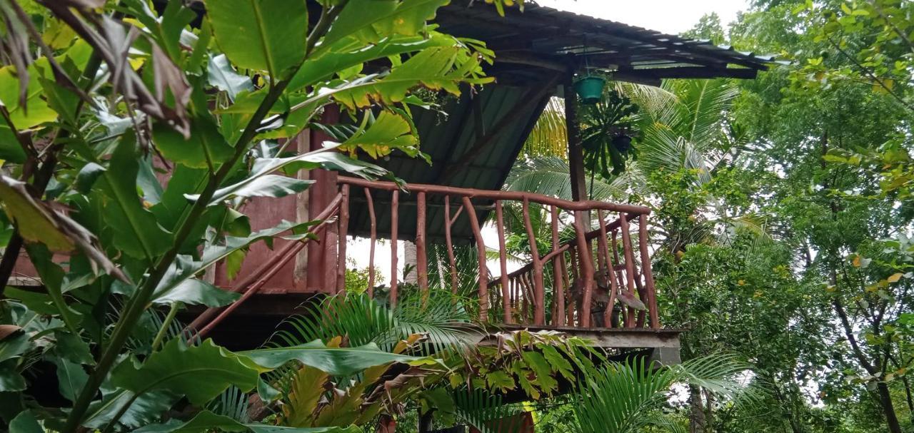 فيلا Sigiri Panaromic Tree House سيغيرِيا المظهر الخارجي الصورة