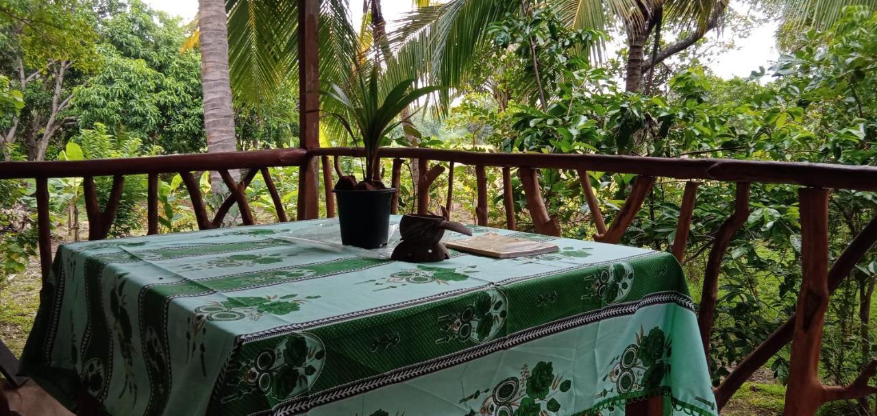 فيلا Sigiri Panaromic Tree House سيغيرِيا المظهر الخارجي الصورة