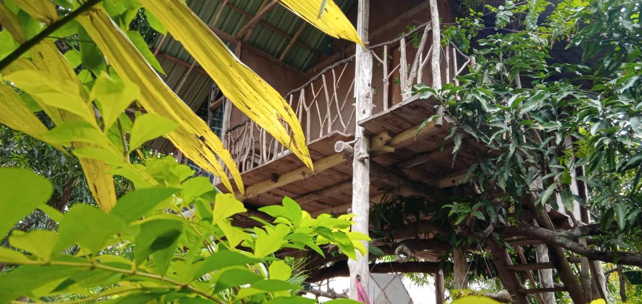 فيلا Sigiri Panaromic Tree House سيغيرِيا المظهر الخارجي الصورة