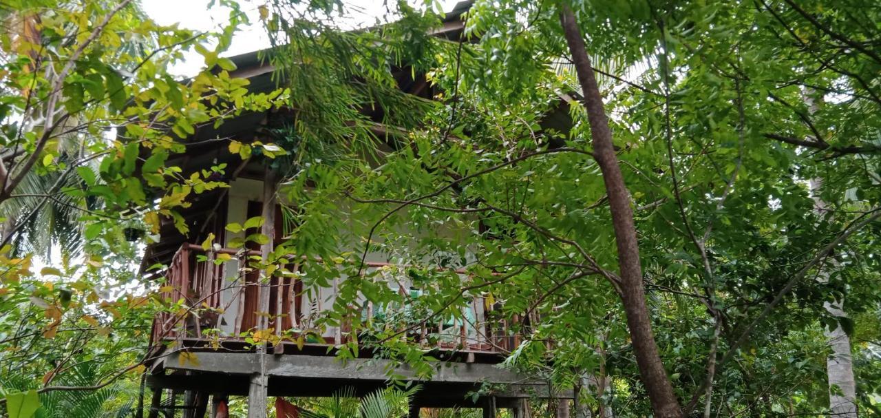 فيلا Sigiri Panaromic Tree House سيغيرِيا المظهر الخارجي الصورة
